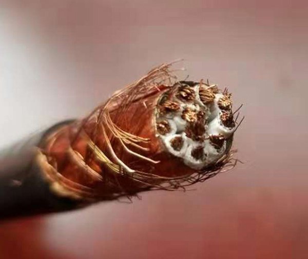 永壹珠江家裝電纜