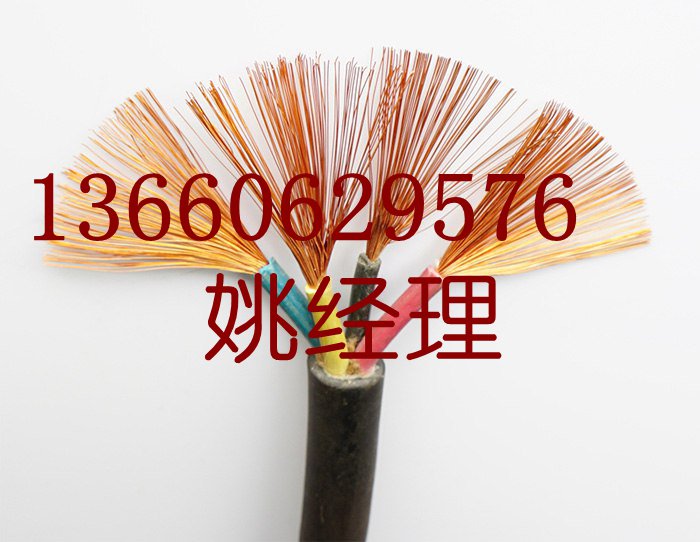 珠江電纜