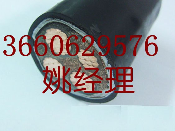 珠江永壹電線(xiàn)電纜