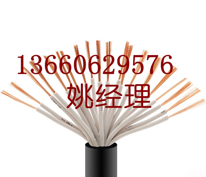 永壹_珠江電纜_電線電纜